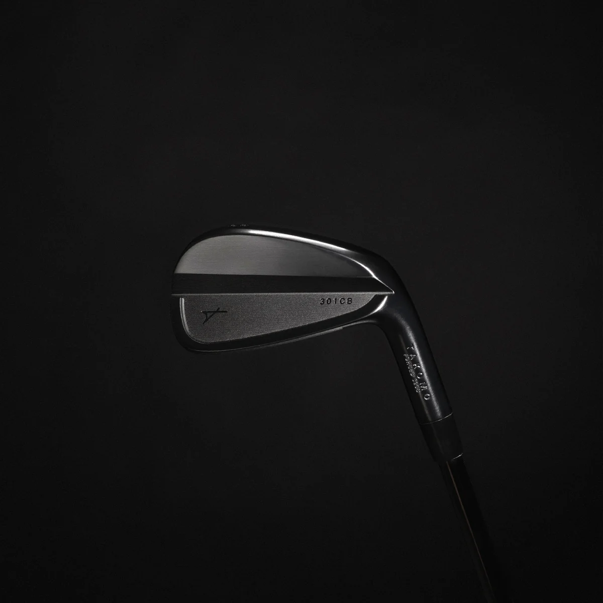 Iron 301 CB: The Gift of Darkness - Image 6